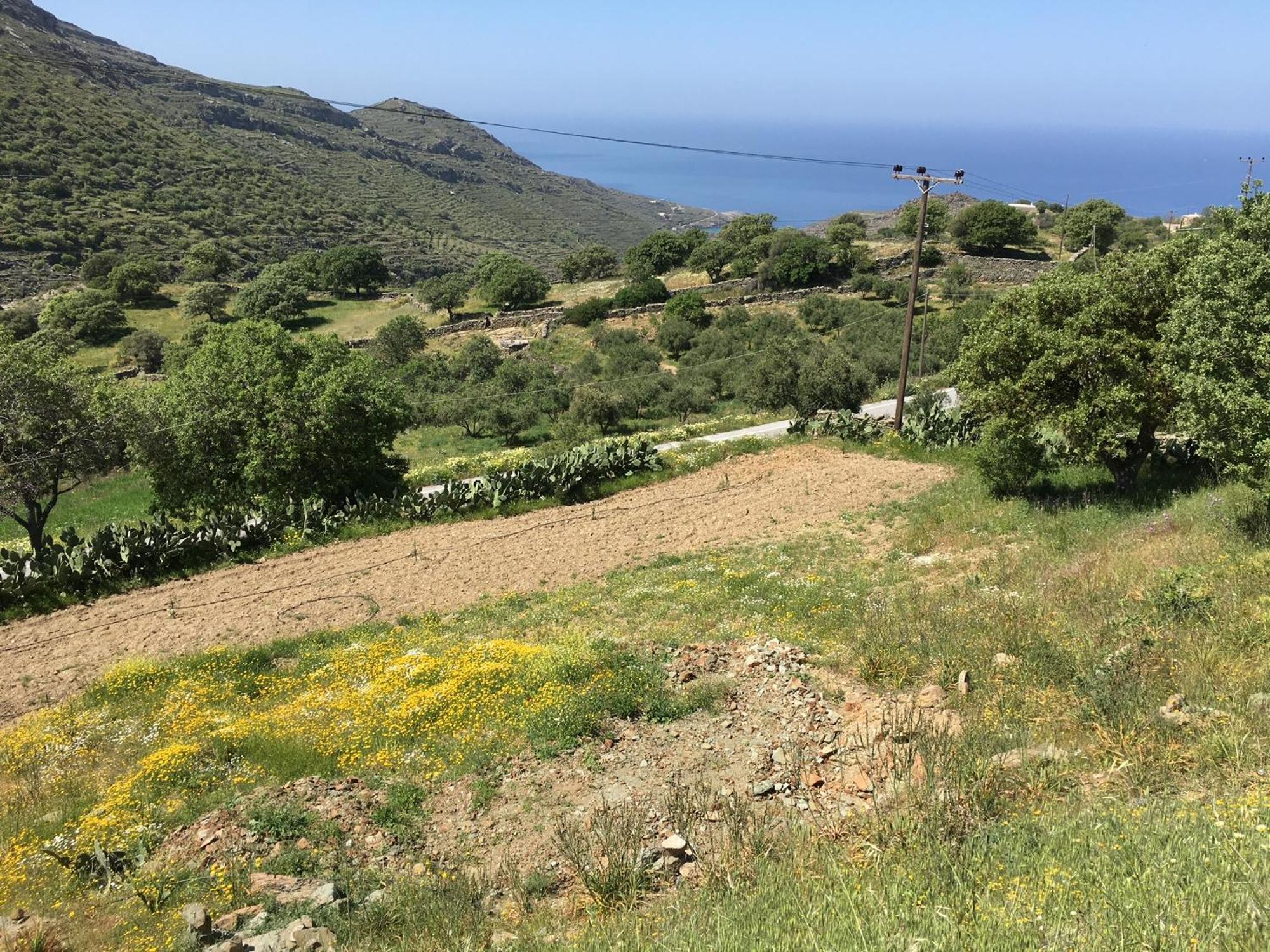 Rural Guest House B&B Chavouna Exterior foto