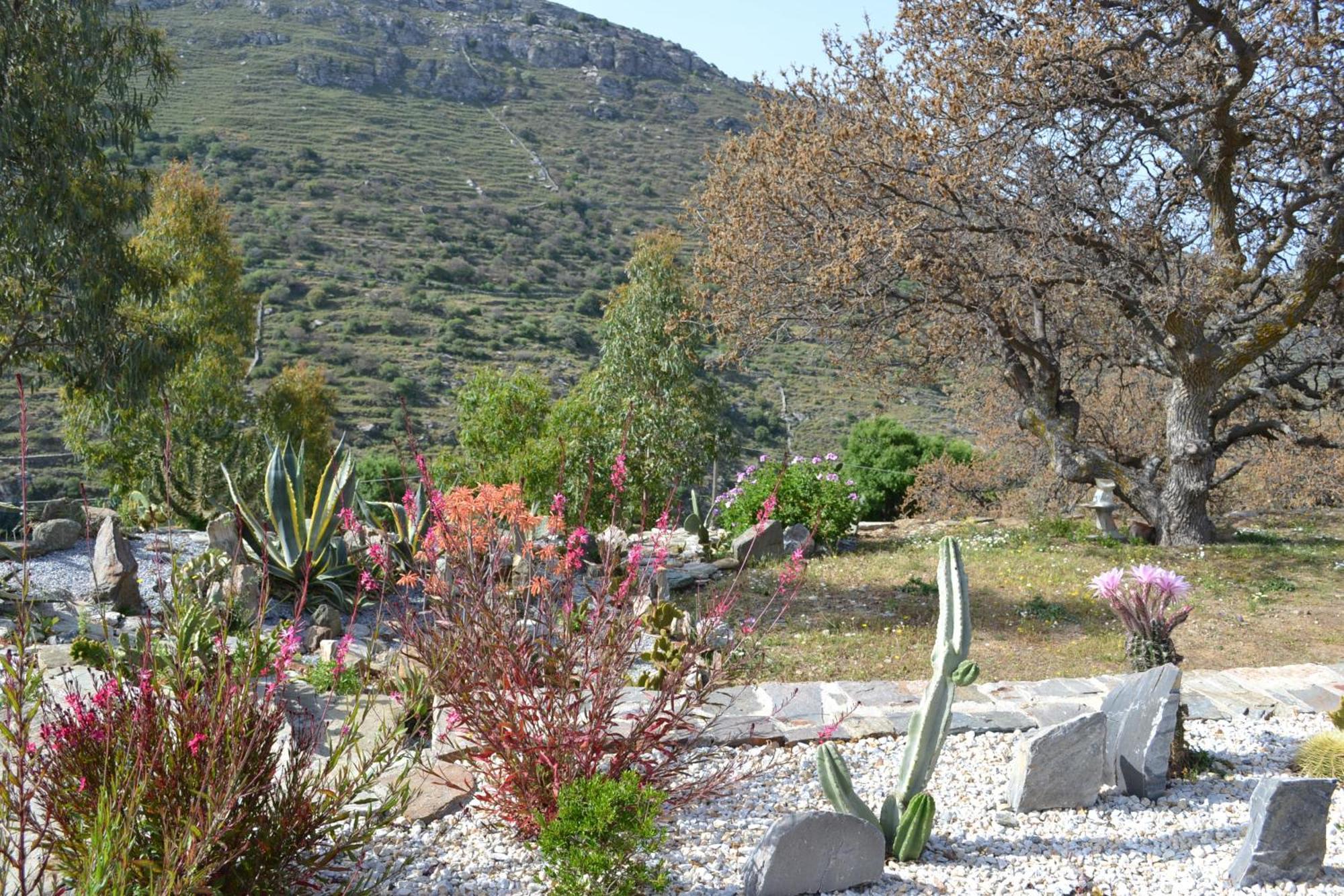 Rural Guest House B&B Chavouna Exterior foto